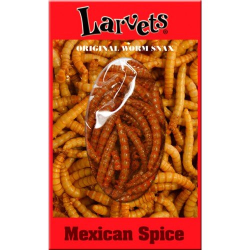 Edible Insects Sampler Gift Pack