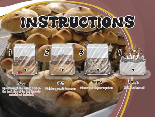 Magical 5lb All-in-One Mushroom Grow Bag