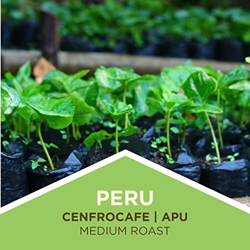 Peru Medium Roast Organic Ground Coffee