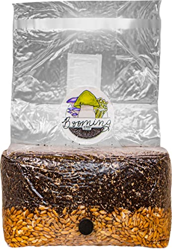Magical 5lb All-in-One Mushroom Grow Bag