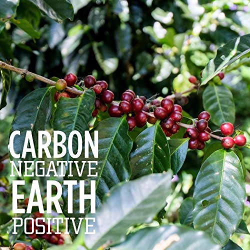Peru Medium Roast Organic Ground Coffee