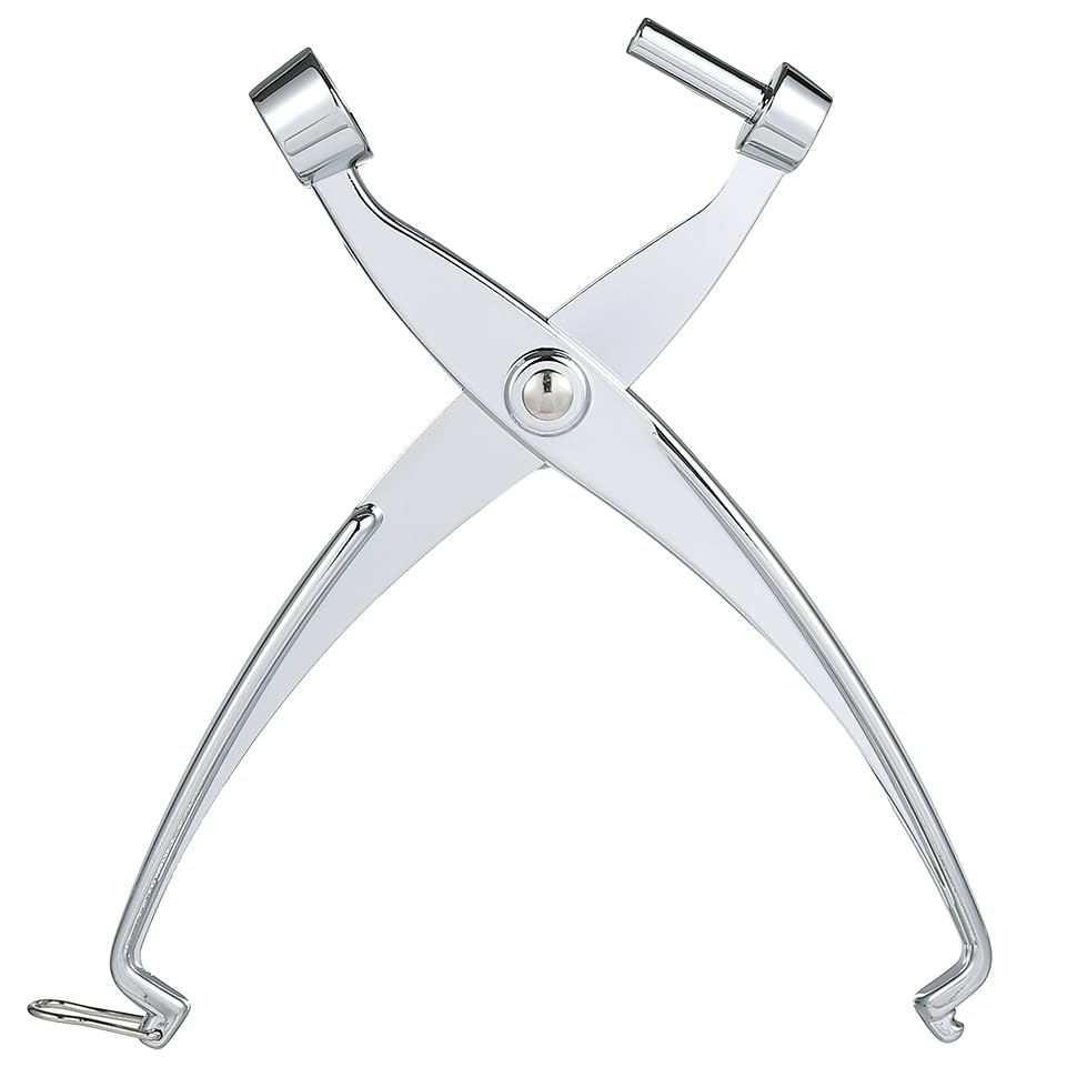 Heavy Duty Cherry and Olive Pitter Tool