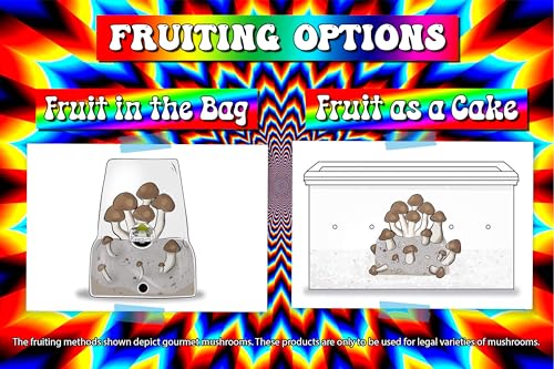 Magical 5lb All-in-One Mushroom Grow Bag