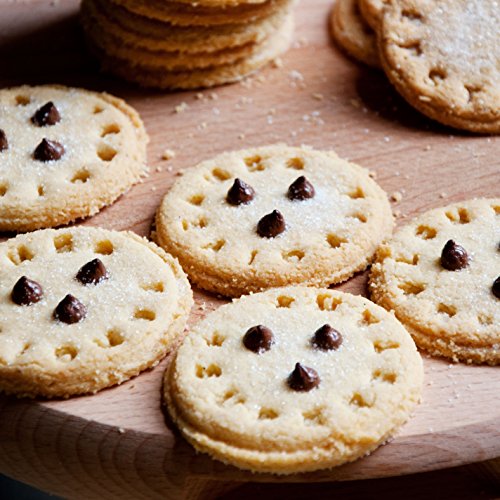 Customizable Cookie Stamp Alphabet