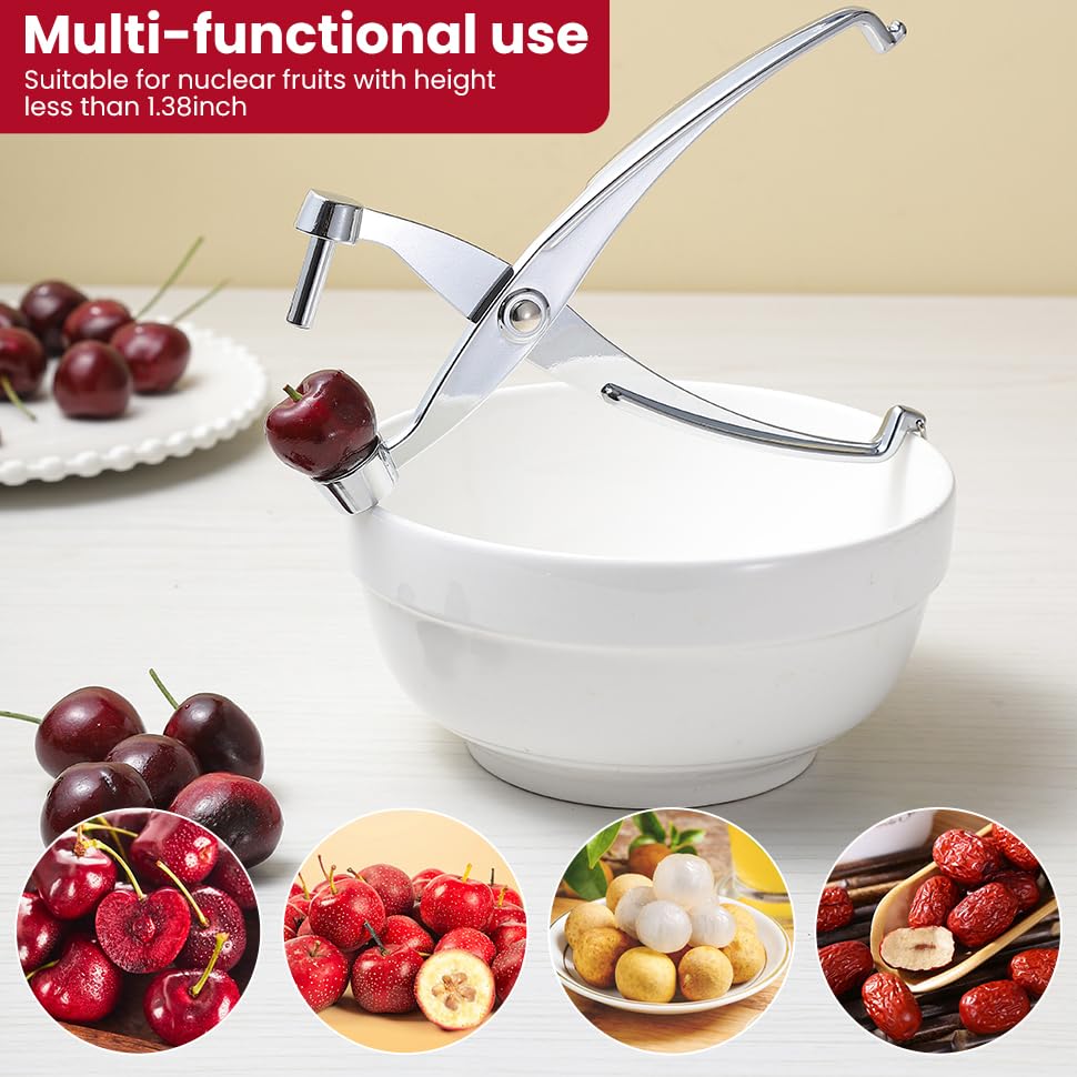 Heavy Duty Cherry and Olive Pitter Tool