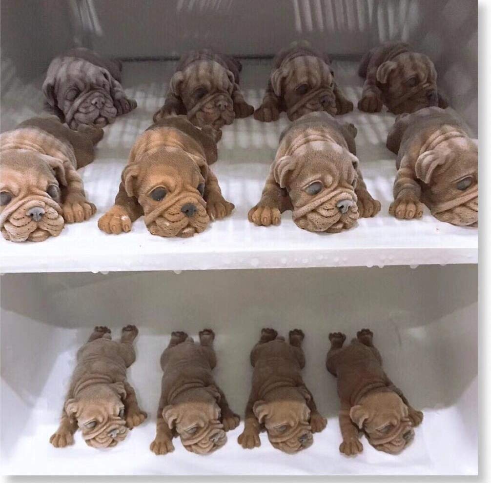 3D Shar Pei Silicone Fondant Mold