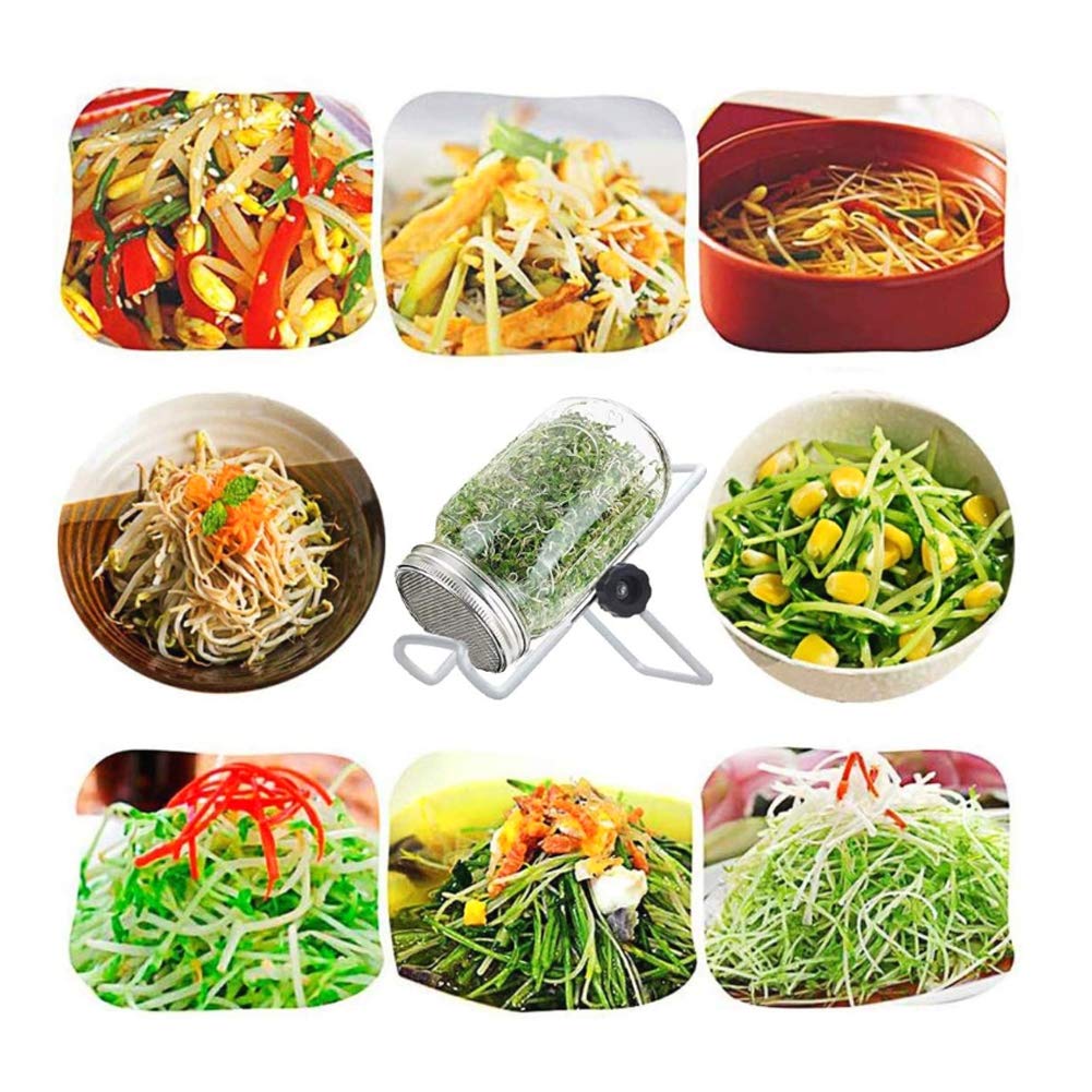 Sprouting Jar Kit with Mason Jars and Lids