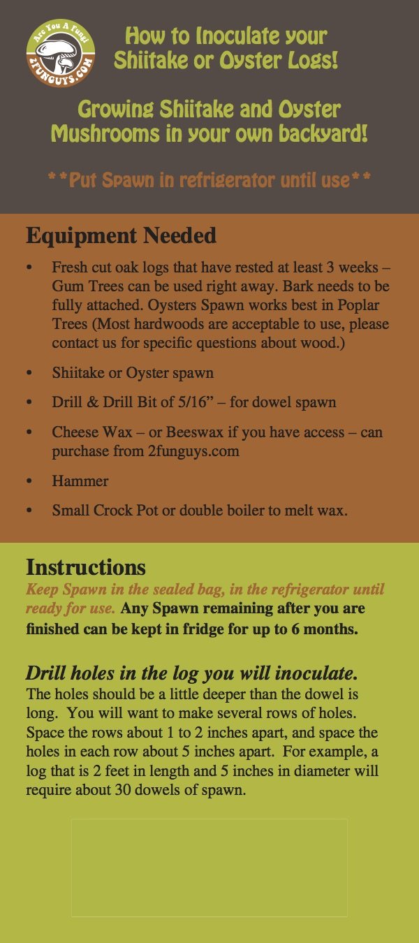 Shiitake Mushroom Plug Spawn Kit