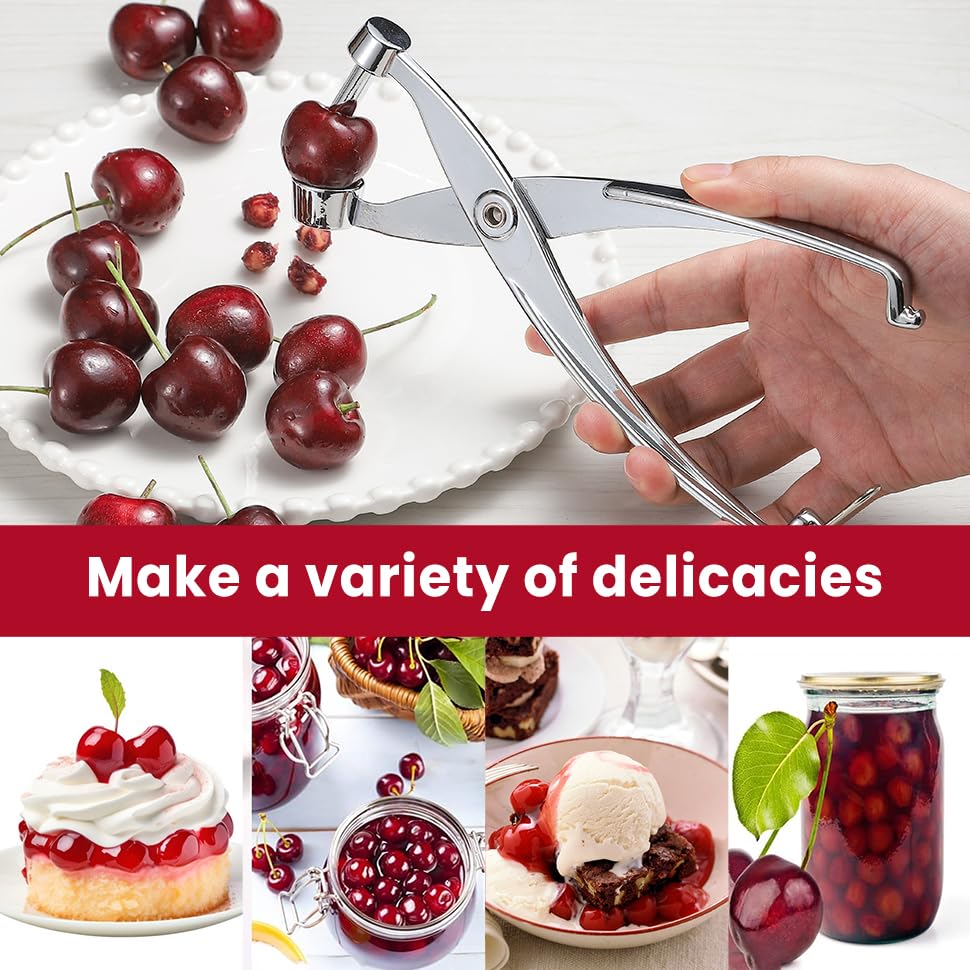 Heavy Duty Cherry and Olive Pitter Tool