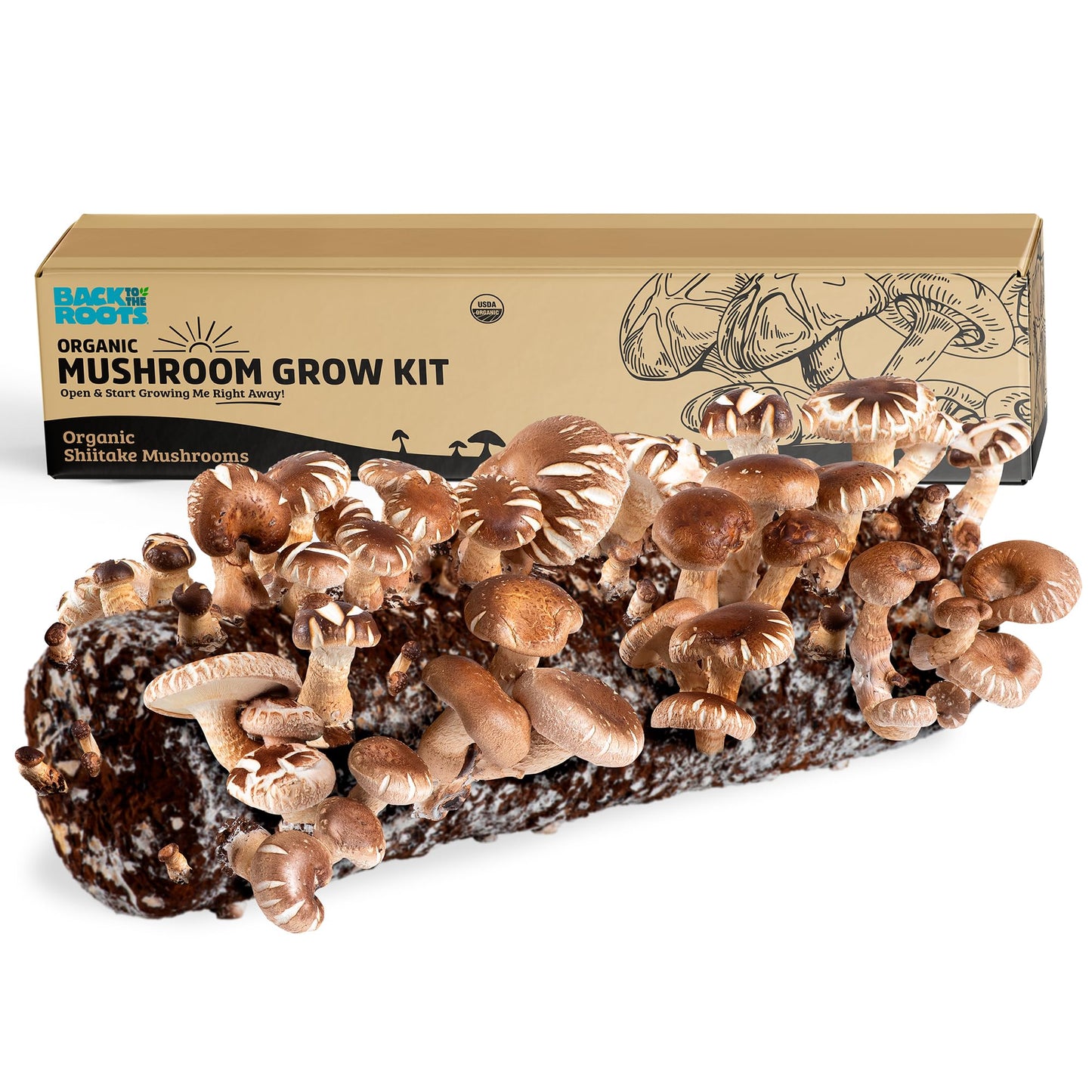 Shiitake Mushroom Grow Log
