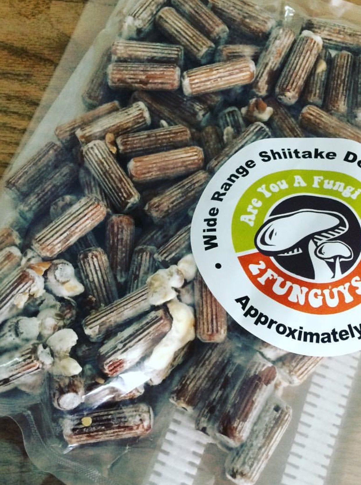 Shiitake Mushroom Plug Spawn Kit