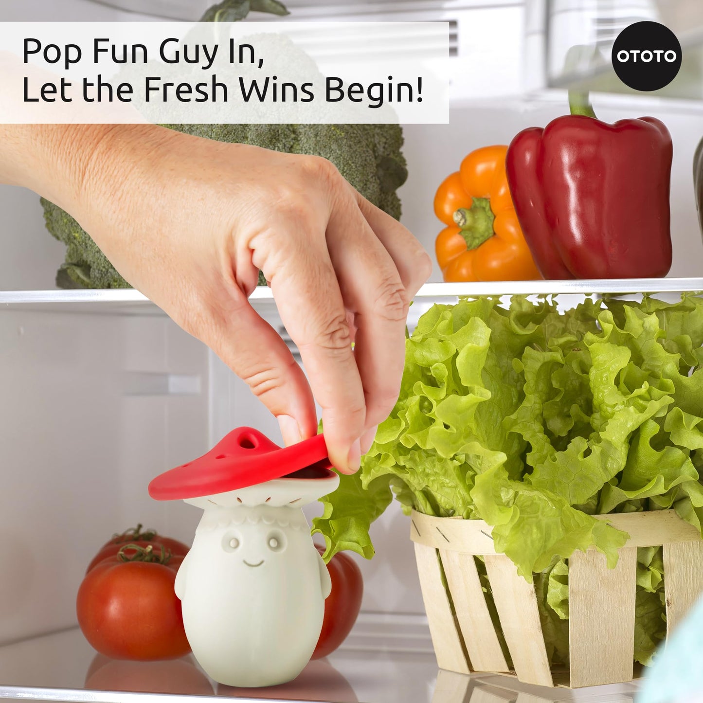 Fun Guy Fridge Deodorizer