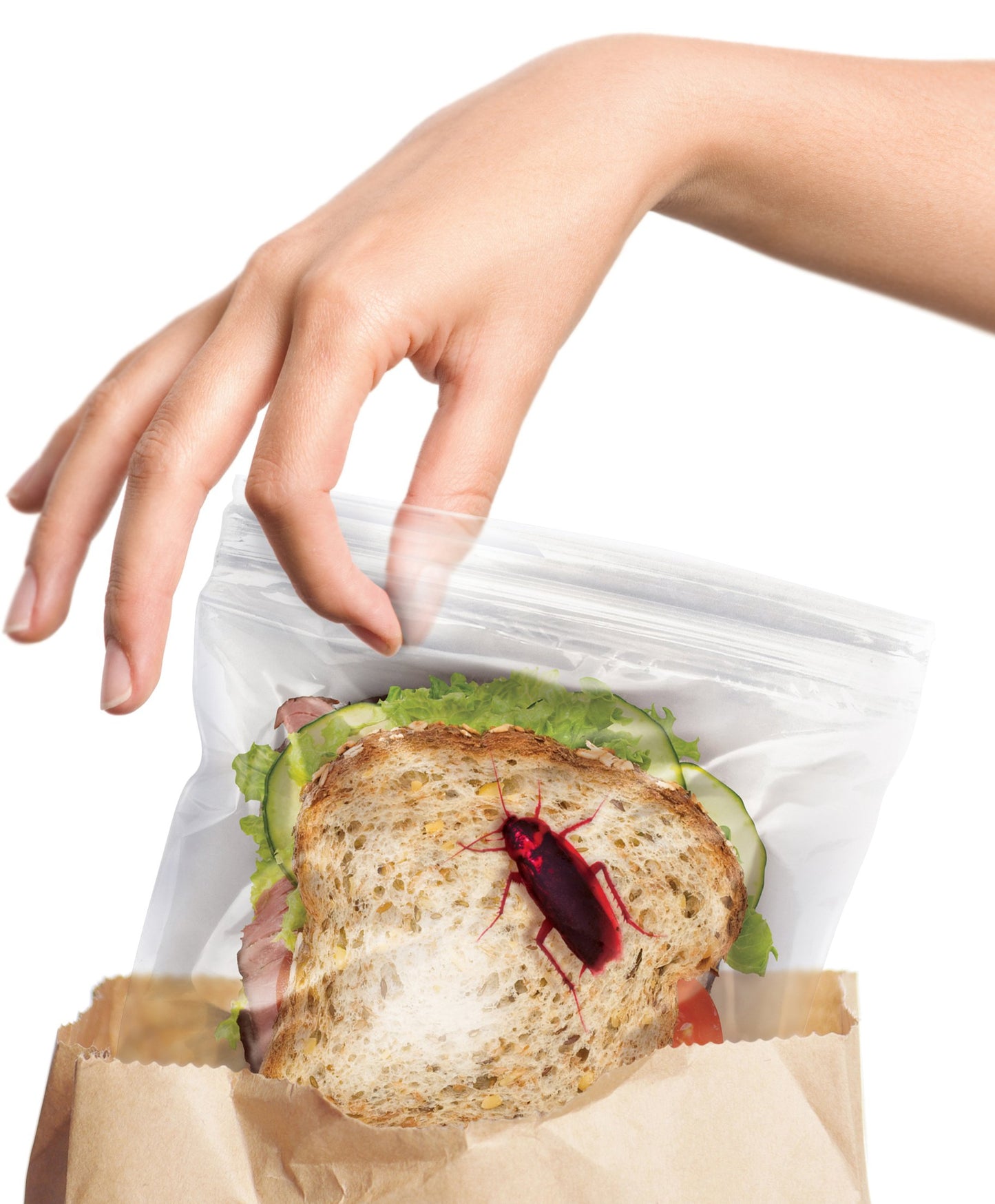Lunch Bugs Zipper Sandwich Bags - 24 Count