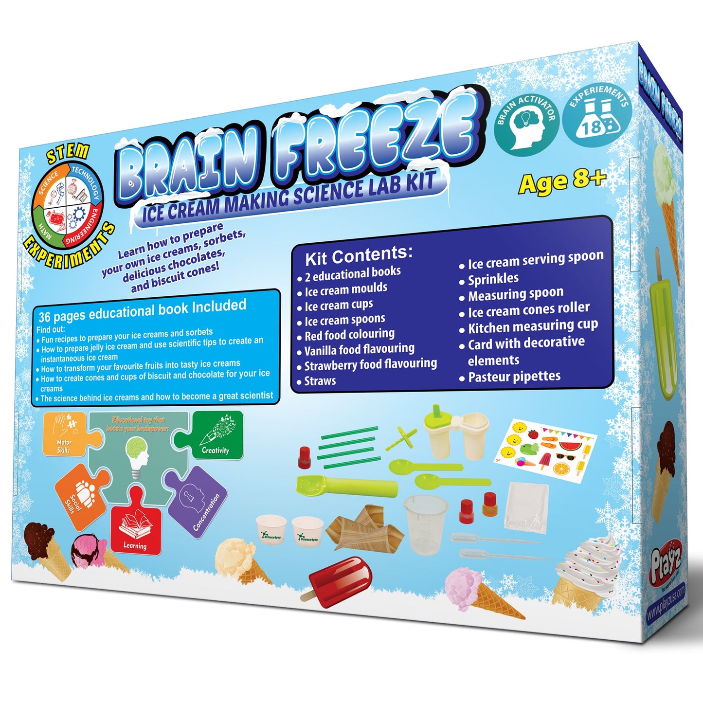 Brain Freeze Ice Cream Making Science Kit