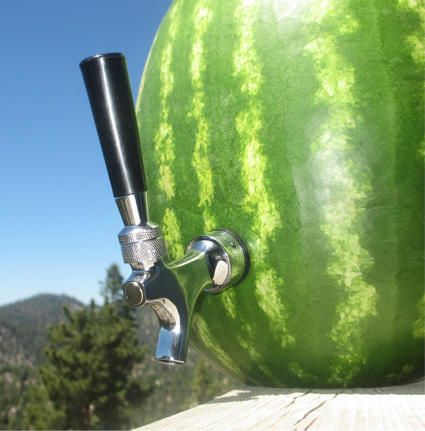Watermelon Tap Keg Kit - Drink Dispenser