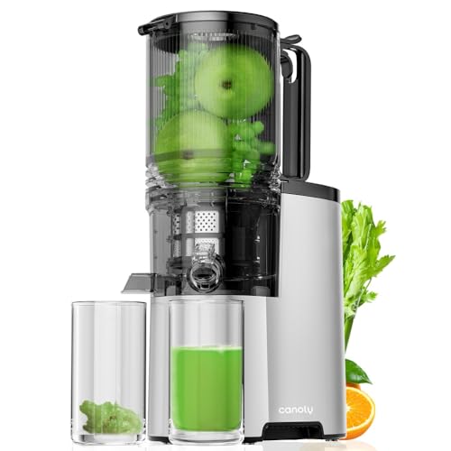 Cold Press Juicer with Extra Large Feed Chute