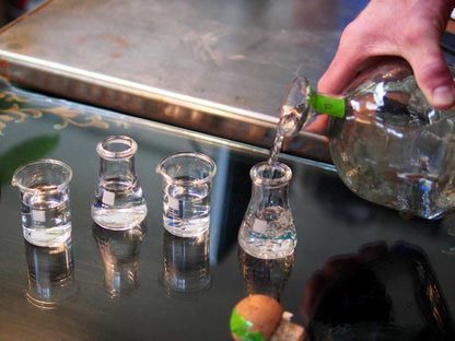 Laboratory Beaker Shot Glasses