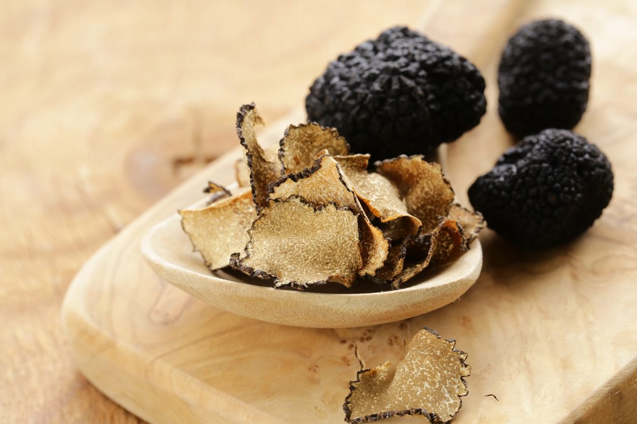 Black Truffle Mushrooms Mycelium Spawn Kit