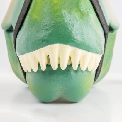 Dinosaur Head Lunch Box