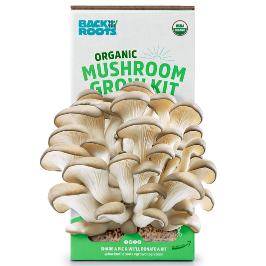 Oyster Mushroom Grow Kit, Harvest Gourmet Mushrooms in 10 Days