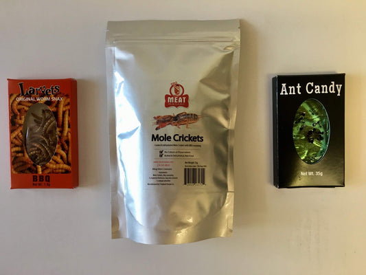 Edible Insects Sampler Gift Pack