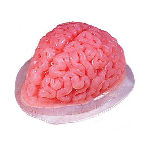 Plastic Brain Jello Mold