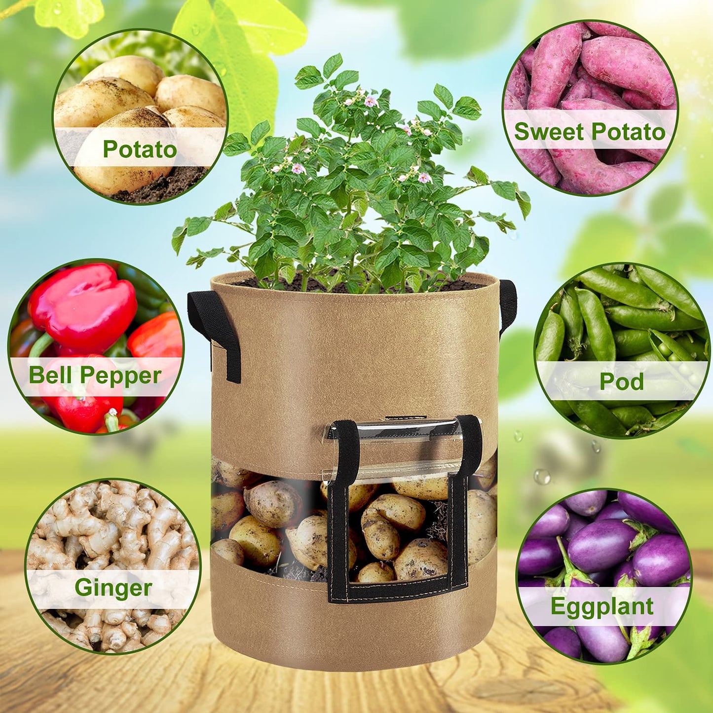 Visible Potato Grow Bags