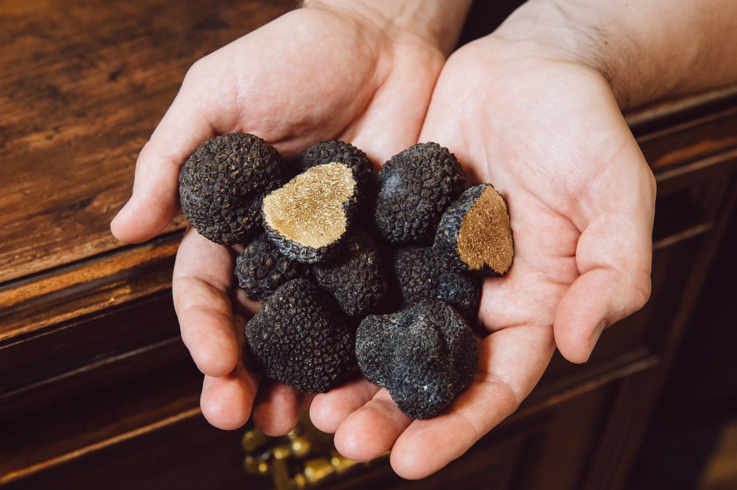 Black Truffle Mushrooms Mycelium Spawn Kit