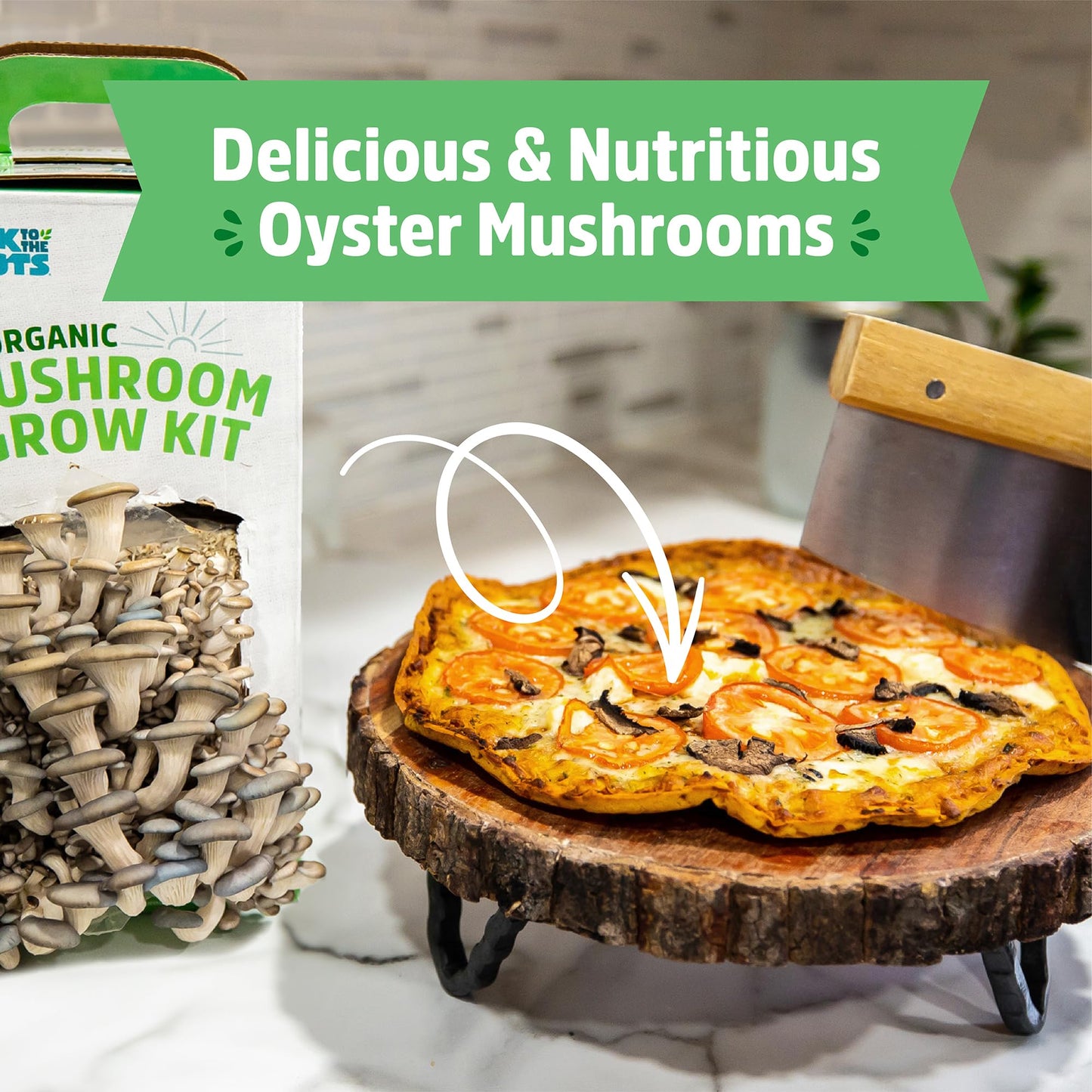 Oyster Mushroom Grow Kit, Harvest Gourmet Mushrooms in 10 Days