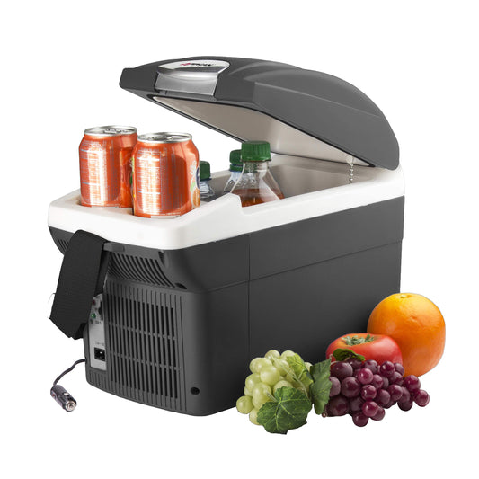 Portable Electric Cooler and Warmer