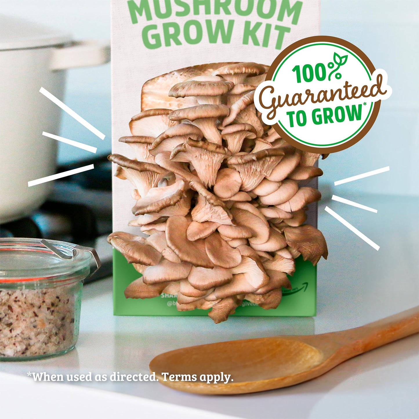 Oyster Mushroom Grow Kit, Harvest Gourmet Mushrooms in 10 Days