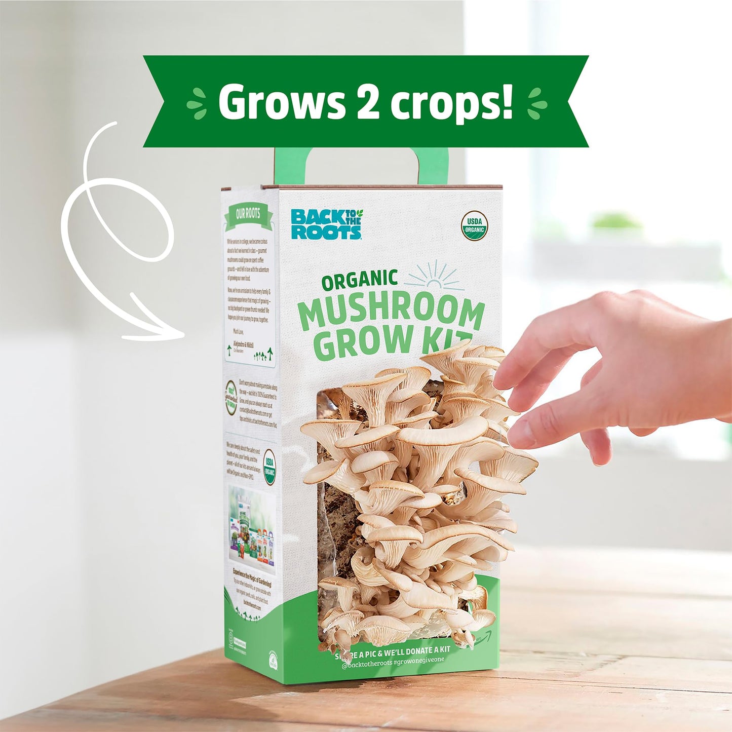 Oyster Mushroom Grow Kit, Harvest Gourmet Mushrooms in 10 Days