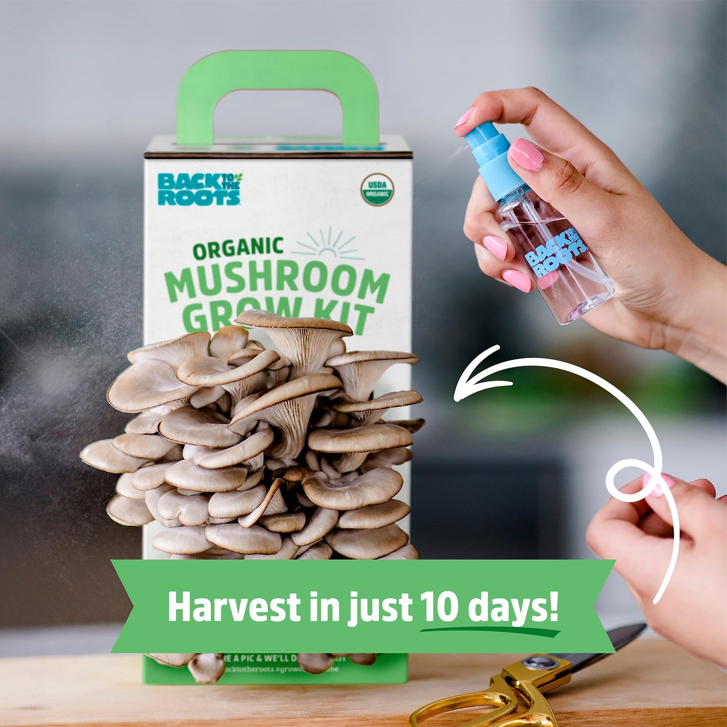 Oyster Mushroom Grow Kit, Harvest Gourmet Mushrooms in 10 Days