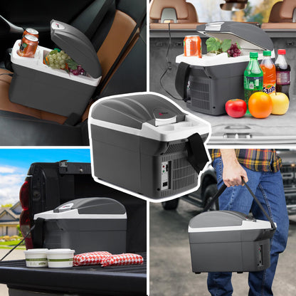 Portable Electric Cooler and Warmer