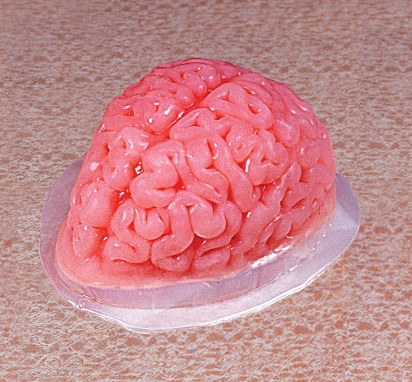 Plastic Brain Jello Mold