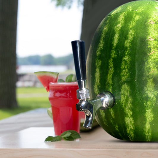 Watermelon Tap Keg Kit - Drink Dispenser