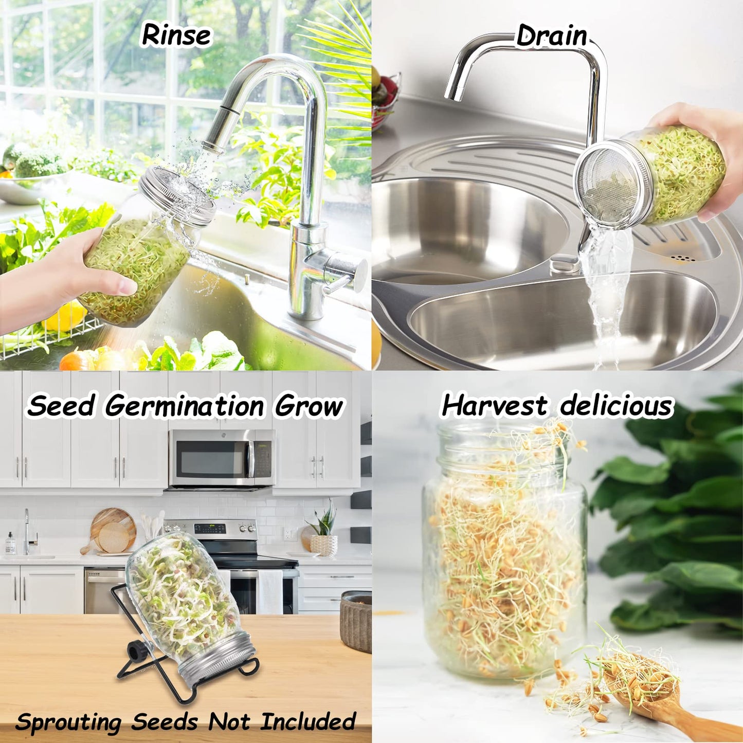 Sprouting Jar Kit with Mason Jars and Lids