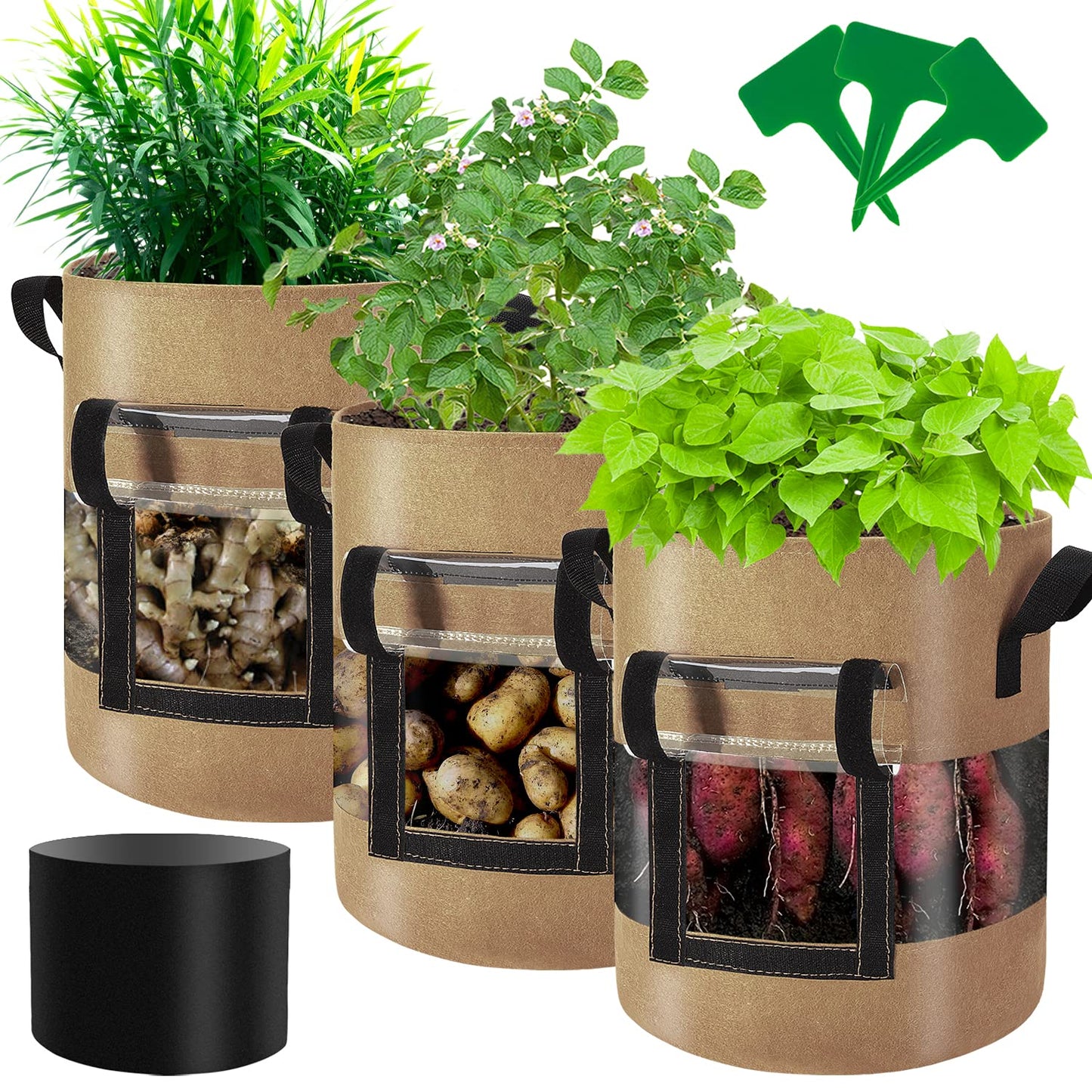 Visible Potato Grow Bags